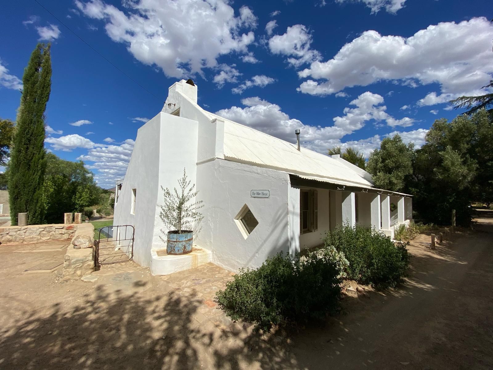 The Olive House Prince Albert Western Cape South Africa Building, Architecture, Cactus, Plant, Nature, Desert, Sand