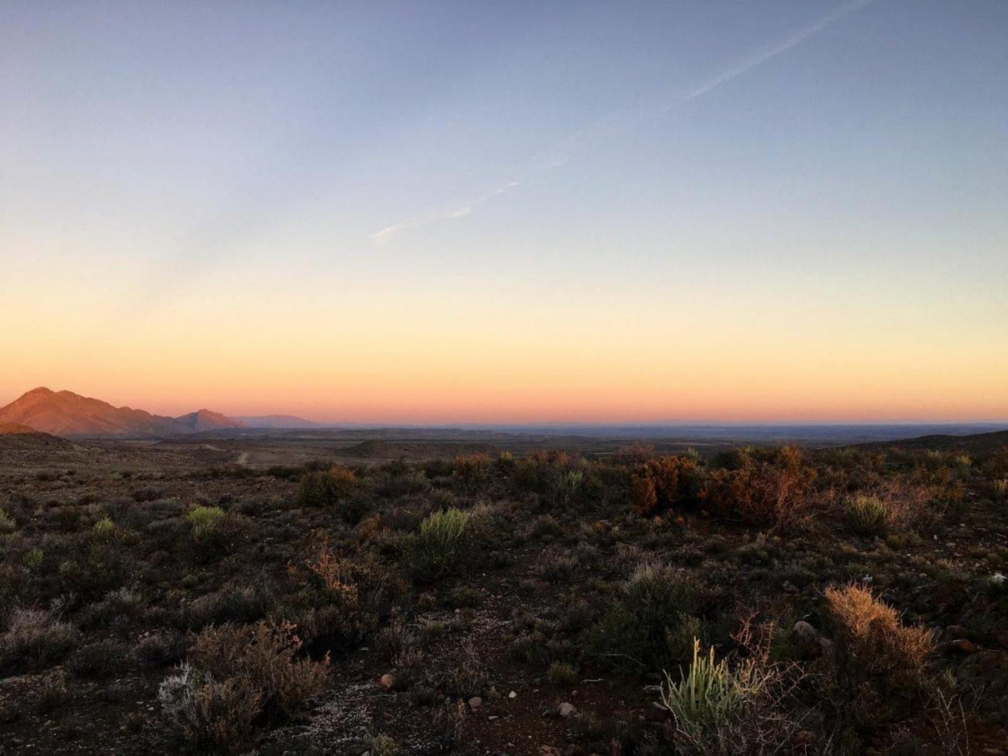 The Olive House Prince Albert Western Cape South Africa Complementary Colors, Cactus, Plant, Nature, Desert, Sand, Lowland, Sunset, Sky