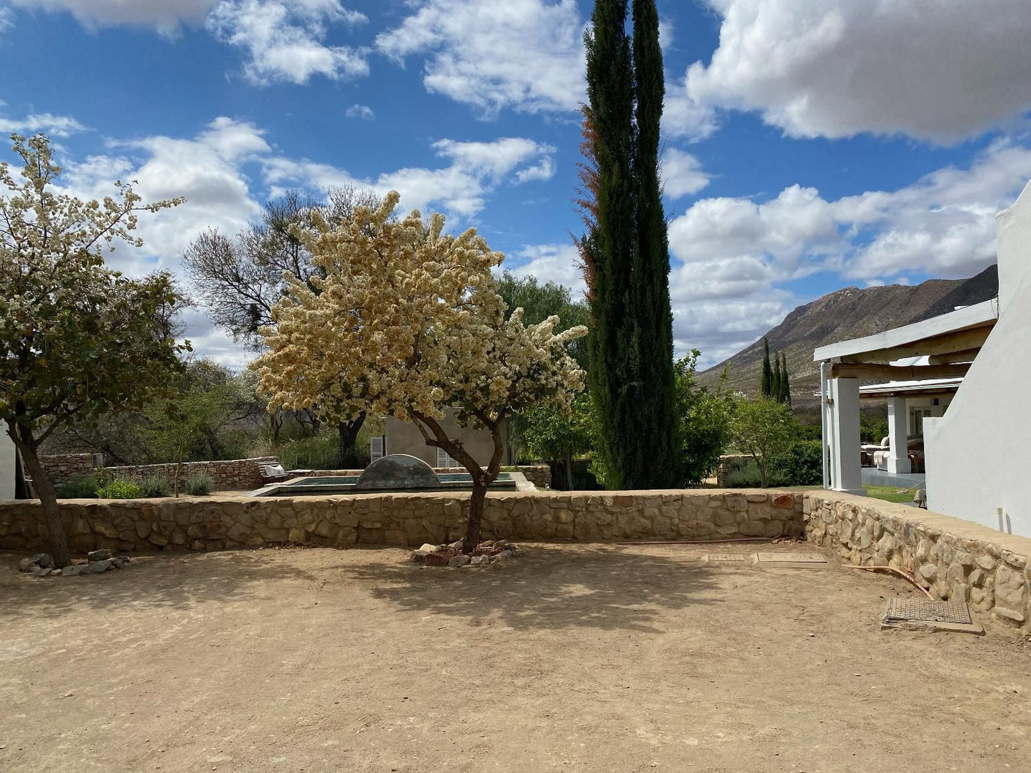 The Olive House Prince Albert Western Cape South Africa Complementary Colors, Plant, Nature