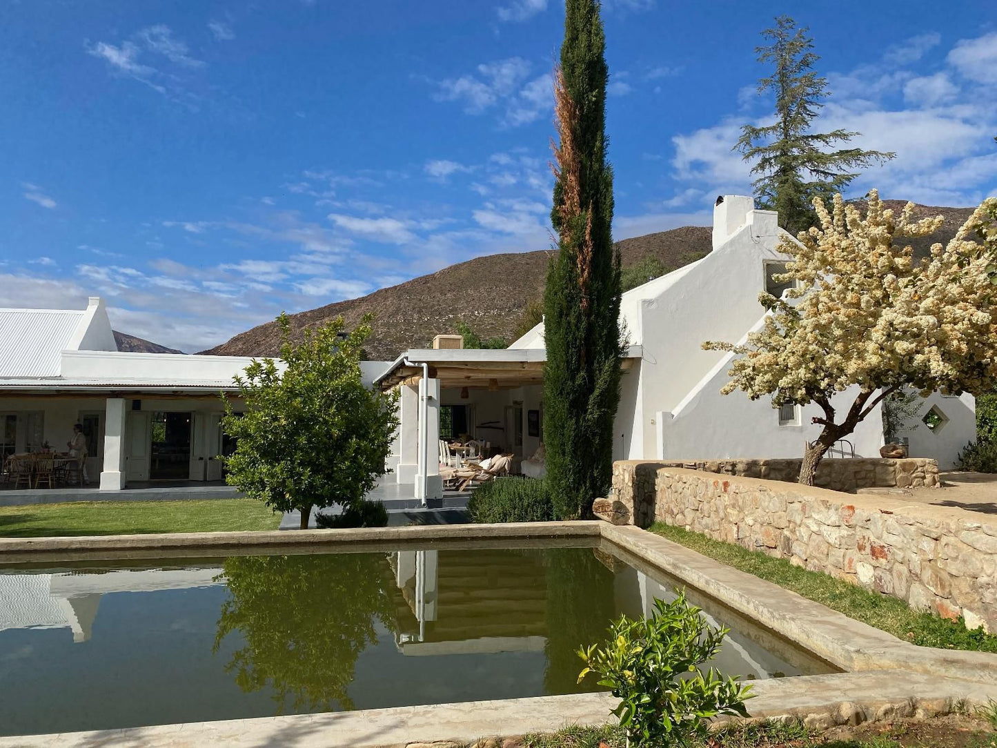 The Olive House Prince Albert Western Cape South Africa Complementary Colors, House, Building, Architecture, Swimming Pool