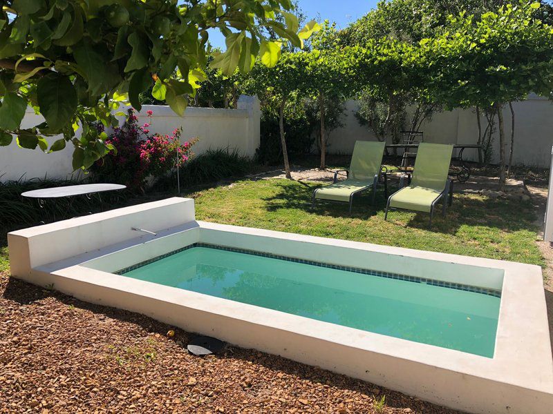 The Olive Villa Franschhoek La Motte Franschhoek Western Cape South Africa Garden, Nature, Plant, Swimming Pool
