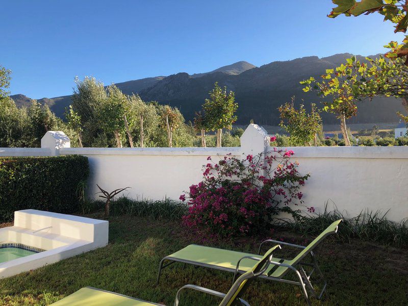 The Olive Villa Franschhoek La Motte Franschhoek Western Cape South Africa 