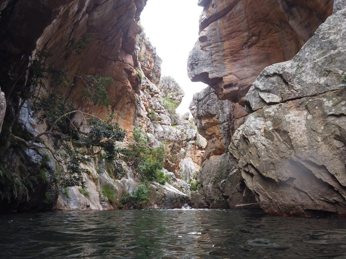 The Orchard Cottage Prince Alfred Hamlet Western Cape South Africa Unsaturated, River, Nature, Waters