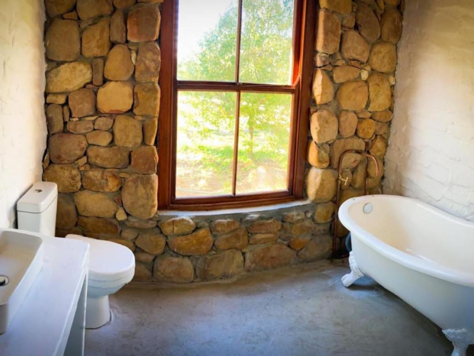 The Orchard Cottage Prince Alfred Hamlet Western Cape South Africa Bathroom