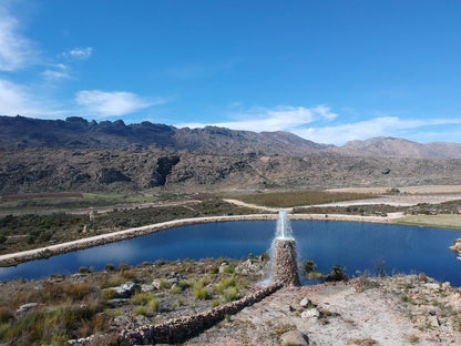 The Orchard Cottage Prince Alfred Hamlet Western Cape South Africa Cactus, Plant, Nature, Lake, Waters