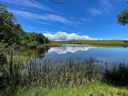 The Outpost Dullstroom Dullstroom Mpumalanga South Africa Complementary Colors, Nature