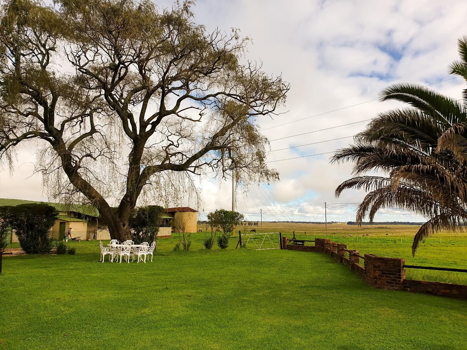 The Outpost Dullstroom Dullstroom Mpumalanga South Africa Palm Tree, Plant, Nature, Wood