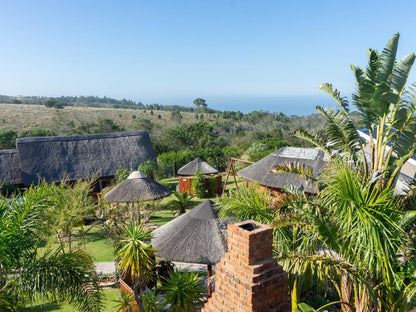 The Owls Inn Country Villa S And Spa Glentana Great Brak River Western Cape South Africa Complementary Colors, Palm Tree, Plant, Nature, Wood