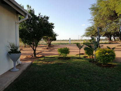 The Owl S Nest Guesthouse Tom Burke Limpopo Province South Africa Palm Tree, Plant, Nature, Wood, Lowland