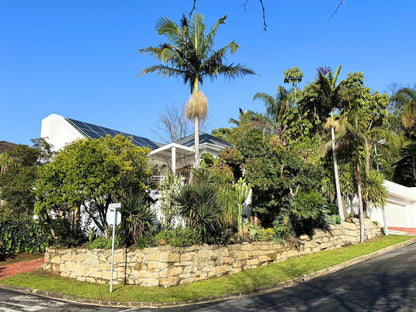 The Paarl Grand, House, Building, Architecture, Palm Tree, Plant, Nature, Wood