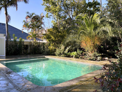 The Paarl Grand, Palm Tree, Plant, Nature, Wood, Garden, Swimming Pool