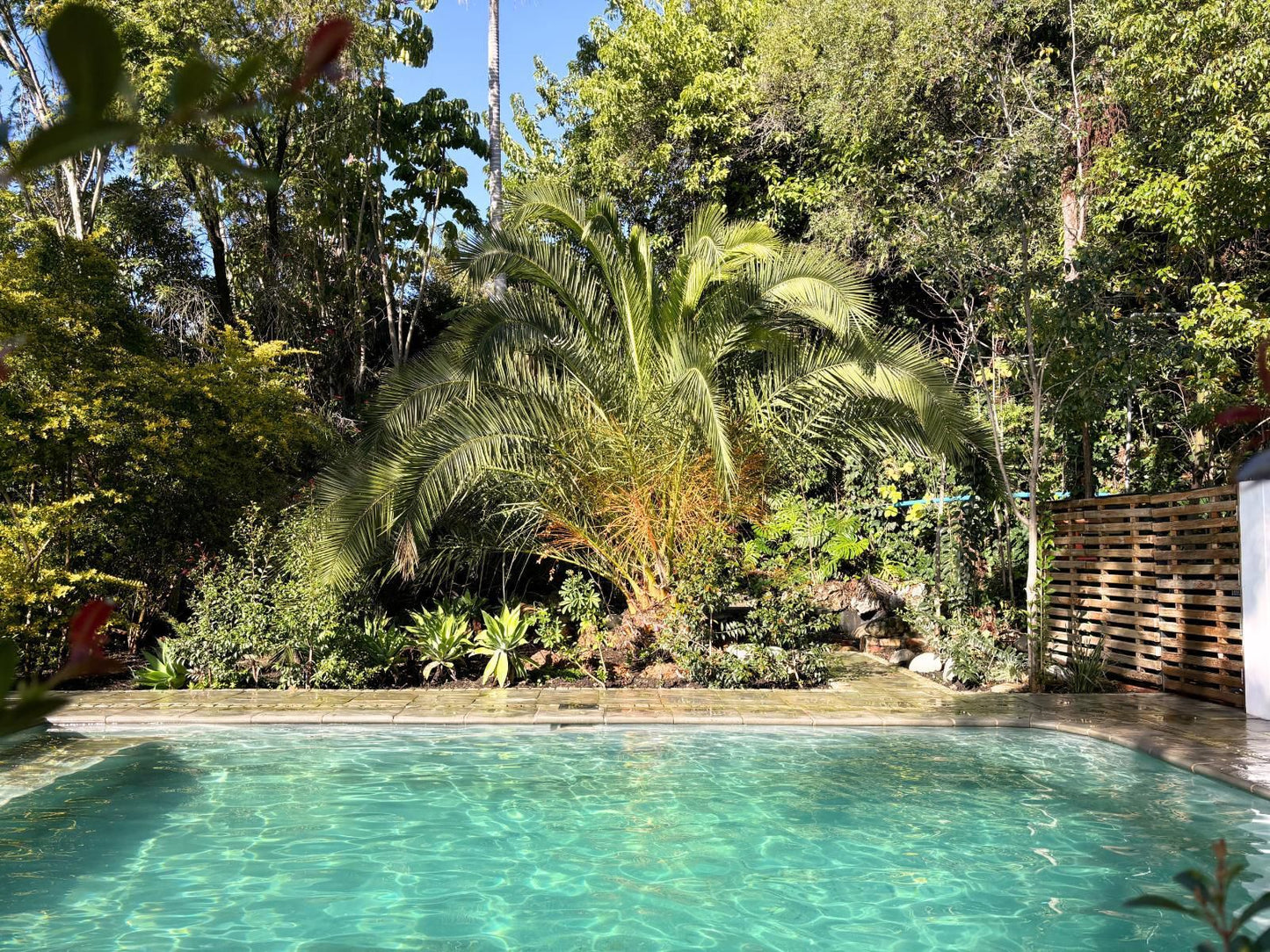 The Paarl Grand, Palm Tree, Plant, Nature, Wood, Garden, Swimming Pool