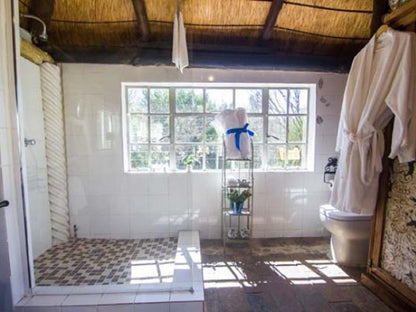 The Place Guesthouse Parys Parys Free State South Africa Bathroom