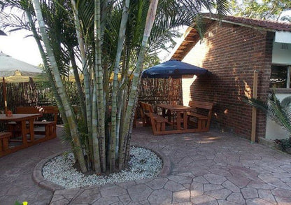 The Plover Bed And Breakfast Tugela Mouth Kwazulu Natal South Africa Palm Tree, Plant, Nature, Wood