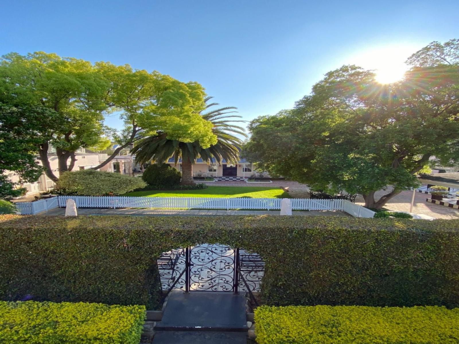 The Prime Spot, House, Building, Architecture, Palm Tree, Plant, Nature, Wood, Garden