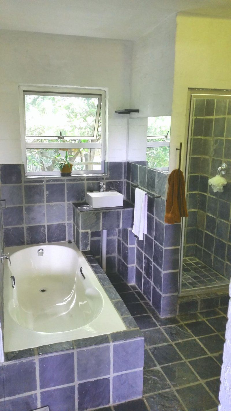 The Purple View Melville Johannesburg Gauteng South Africa Bathroom
