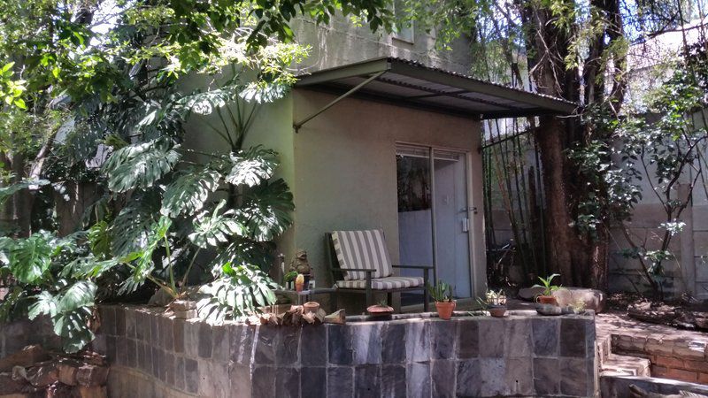 The Purple View Melville Johannesburg Gauteng South Africa Palm Tree, Plant, Nature, Wood, Garden, Living Room
