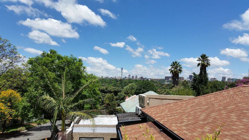 The Purple View Melville Johannesburg Gauteng South Africa Complementary Colors, Palm Tree, Plant, Nature, Wood, Skyscraper, Building, Architecture, City, Clouds, Sky