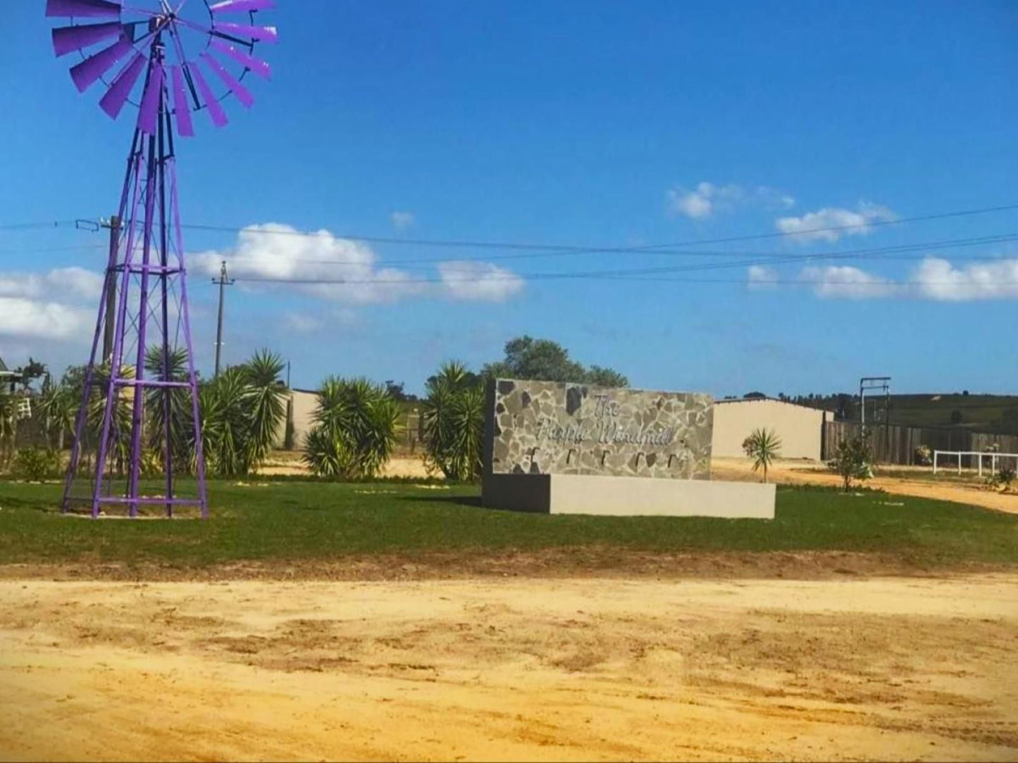 The Purple Windmill Klapmuts Western Cape South Africa Complementary Colors, Colorful, Palm Tree, Plant, Nature, Wood