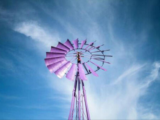 The Purple Windmill Klapmuts Western Cape South Africa Ferris Wheel, Architecture, Windmill, Building, Amusement Park