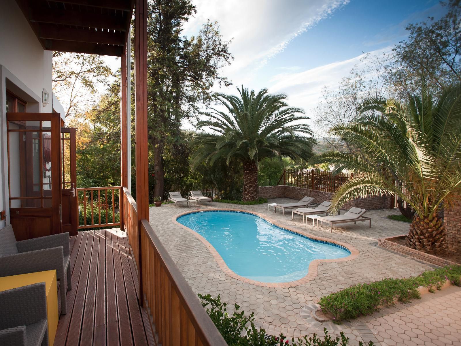 The Queen Of Calitzdorp Calitzdorp Western Cape South Africa Palm Tree, Plant, Nature, Wood, Garden, Swimming Pool