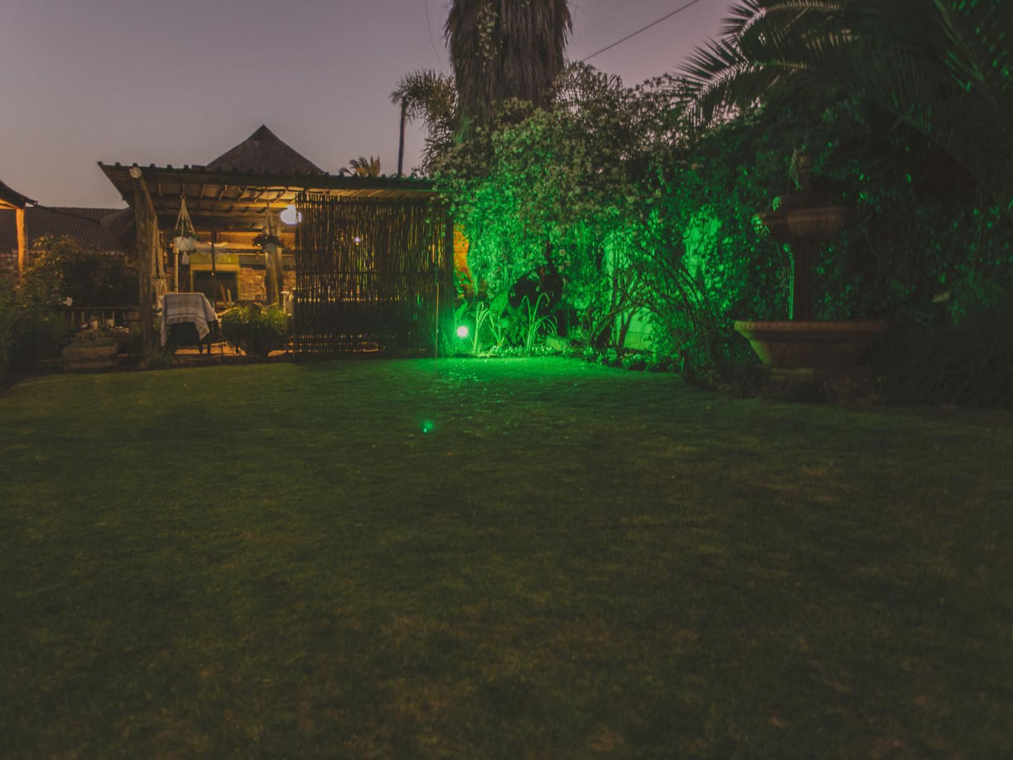 The Ranch Guesthouse Potchefstroom North West Province South Africa Palm Tree, Plant, Nature, Wood, Garden