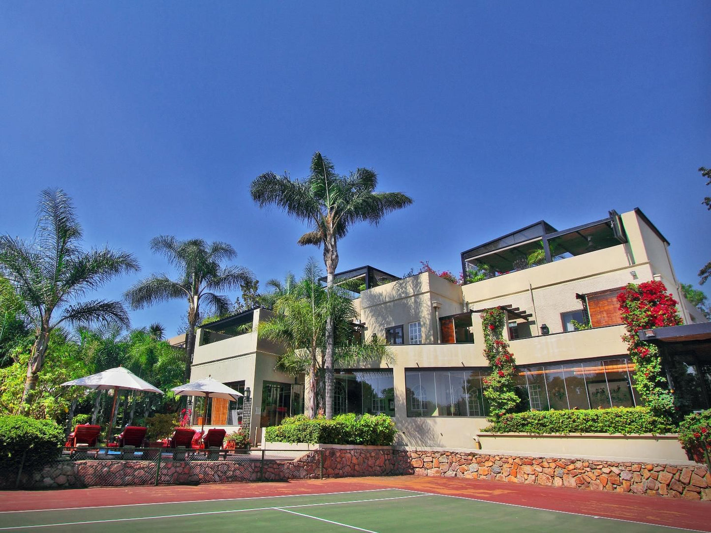 The Residence Houghton Johannesburg Gauteng South Africa Complementary Colors, House, Building, Architecture, Palm Tree, Plant, Nature, Wood, Ball Game, Sport