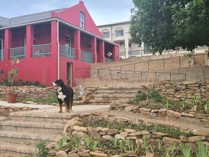 The Restio Country Guesthouse Napier Western Cape South Africa House, Building, Architecture, Stairs