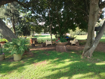 The River Cottage And Mainhouse At Woodlands Muldersdrift Gauteng South Africa Palm Tree, Plant, Nature, Wood, Tree, Cemetery, Religion, Grave, Garden