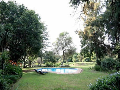 The River Cottage And Mainhouse At Woodlands Muldersdrift Gauteng South Africa Palm Tree, Plant, Nature, Wood, Tree, Garden, Swimming Pool