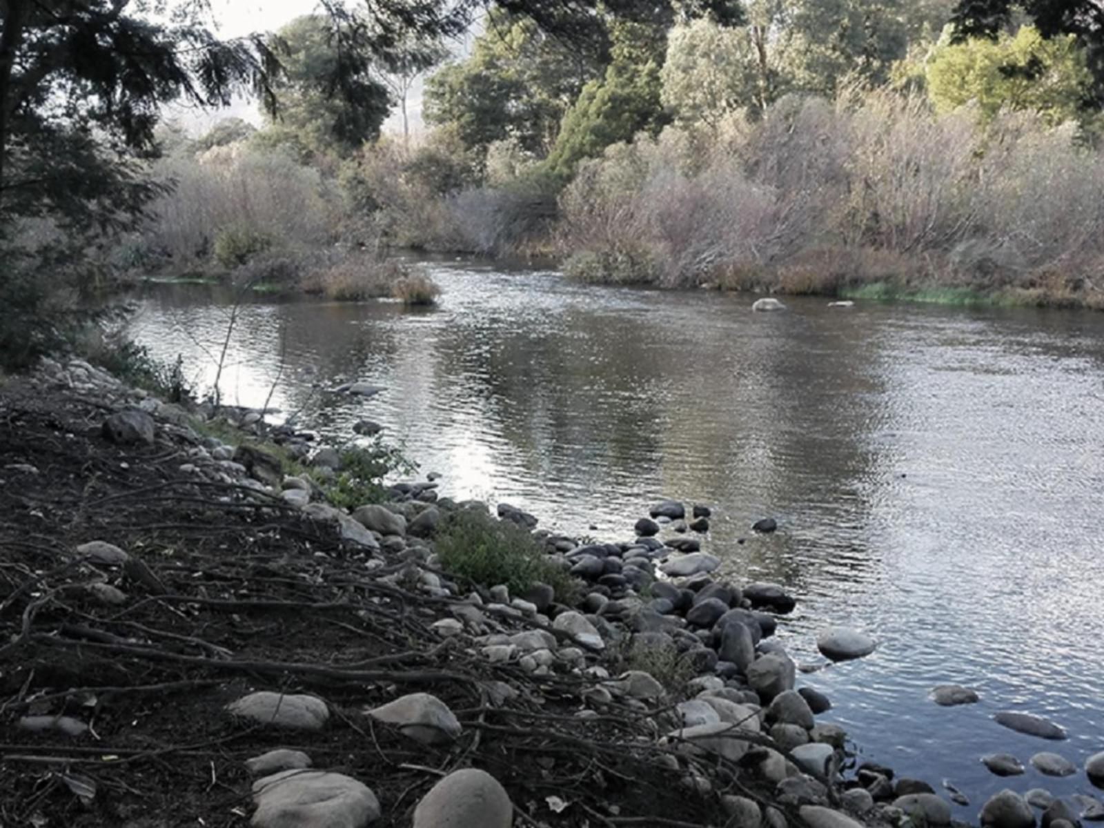 The River Siding Wolseley Western Cape South Africa Unsaturated, River, Nature, Waters