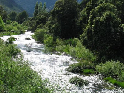 The River Siding Wolseley Western Cape South Africa River, Nature, Waters, Tree, Plant, Wood, Highland