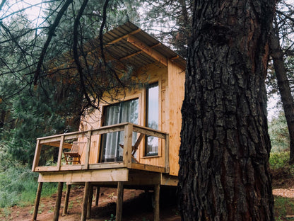 The River Wellness And Spa At Zwakala River Retreat Haenertsburg Limpopo Province South Africa Cabin, Building, Architecture, Forest, Nature, Plant, Tree, Wood