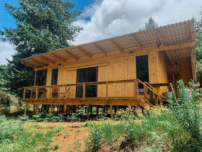 The River Wellness And Spa At Zwakala River Retreat Haenertsburg Limpopo Province South Africa Cabin, Building, Architecture