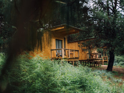 The River Wellness And Spa At Zwakala River Retreat Haenertsburg Limpopo Province South Africa Cabin, Building, Architecture