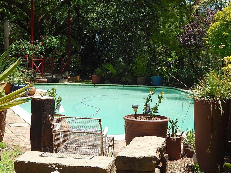 The Roosters Nest Bnb Kyalami Johannesburg Gauteng South Africa Garden, Nature, Plant, Swimming Pool