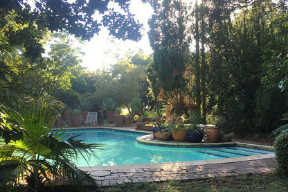 The Roosters Nest Bnb Kyalami Johannesburg Gauteng South Africa Palm Tree, Plant, Nature, Wood, Garden, Swimming Pool