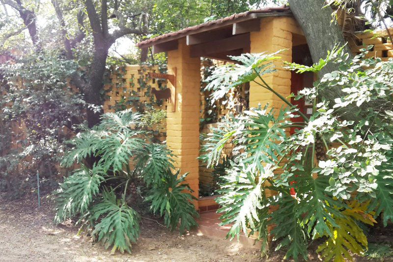 The Roosters Nest Bnb Kyalami Johannesburg Gauteng South Africa Plant, Nature, Tree, Wood, Garden