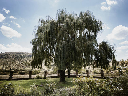 The Rosendal Country Retreat Rosendal Free State South Africa Plant, Nature, Ruin, Architecture