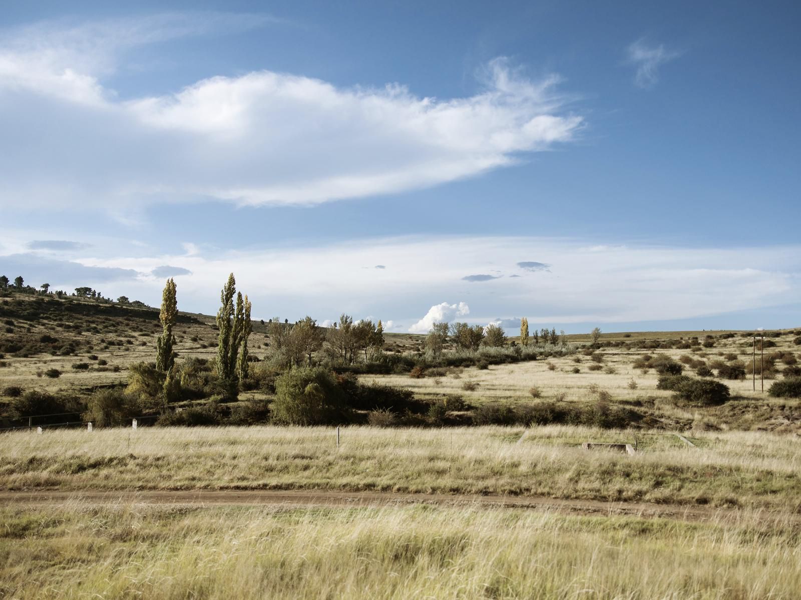 The Rosendal Country Retreat Rosendal Free State South Africa Complementary Colors, Lowland, Nature