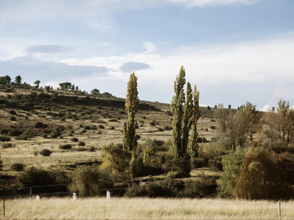 The Rosendal Country Retreat Rosendal Free State South Africa Complementary Colors, Nature