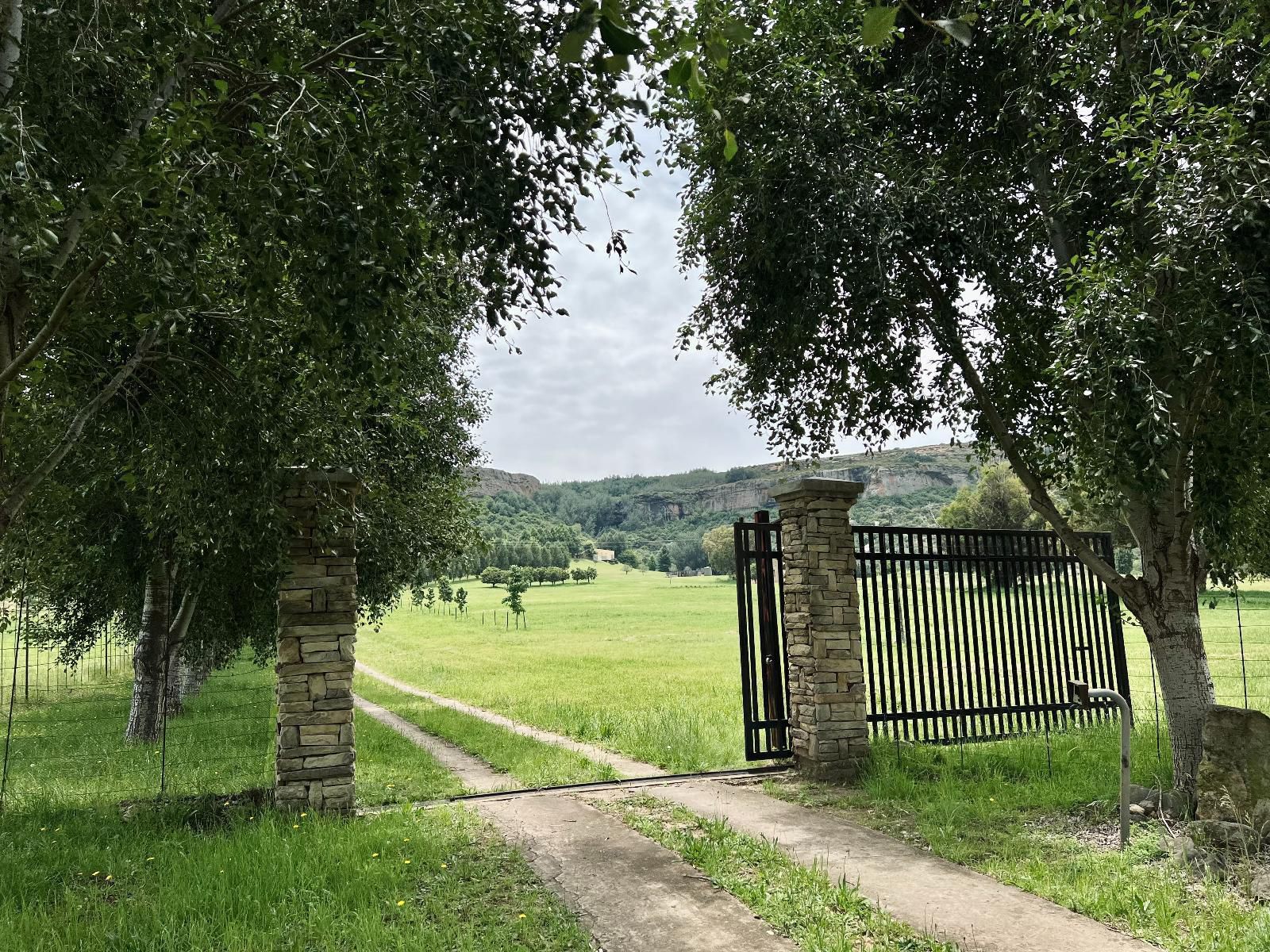 The Rosendal Country Retreat Rosendal Free State South Africa Field, Nature, Agriculture, Tree, Plant, Wood