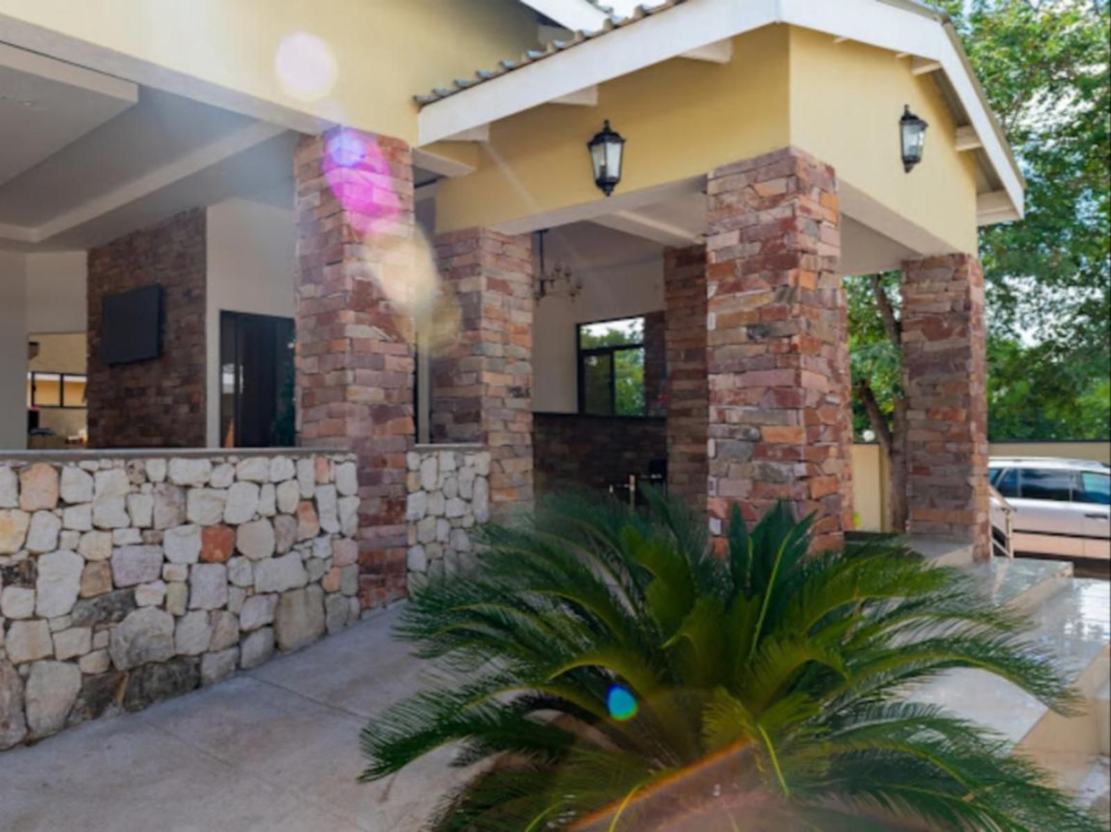 The Shrub Lodge, Palm Tree, Plant, Nature, Wood