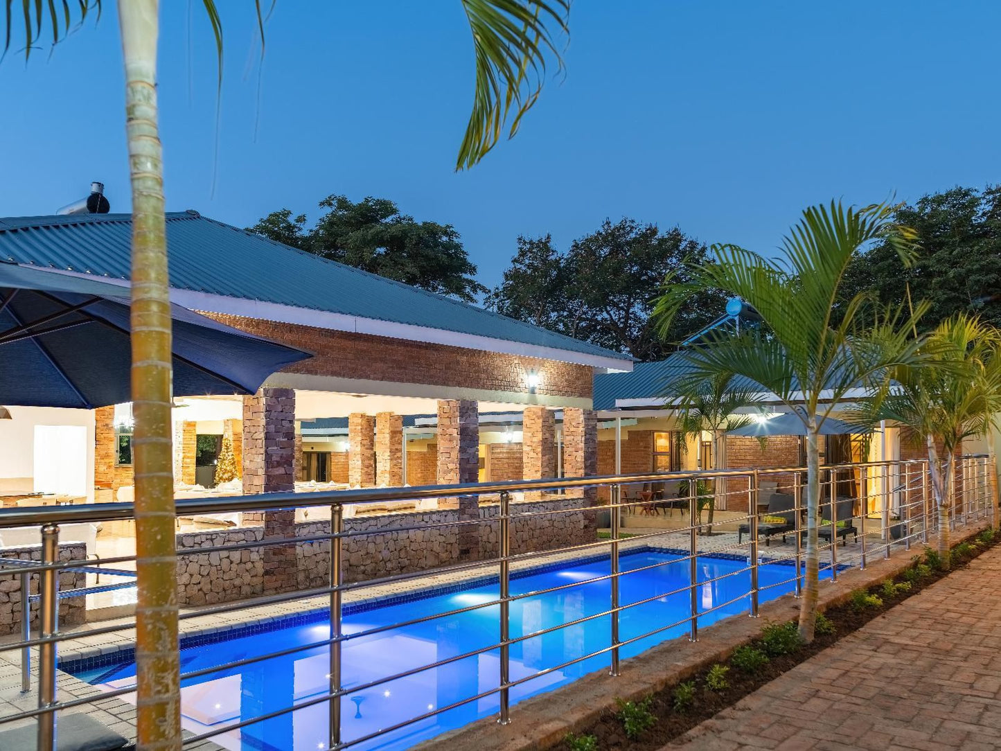 The Shrub Lodge, Palm Tree, Plant, Nature, Wood, Swimming Pool