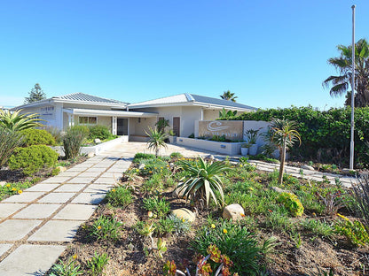 The Sir David Boutique Guest House, House, Building, Architecture, Palm Tree, Plant, Nature, Wood, Garden