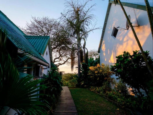 The St Lucia Eco Lodge St Lucia Kwazulu Natal South Africa House, Building, Architecture, Palm Tree, Plant, Nature, Wood