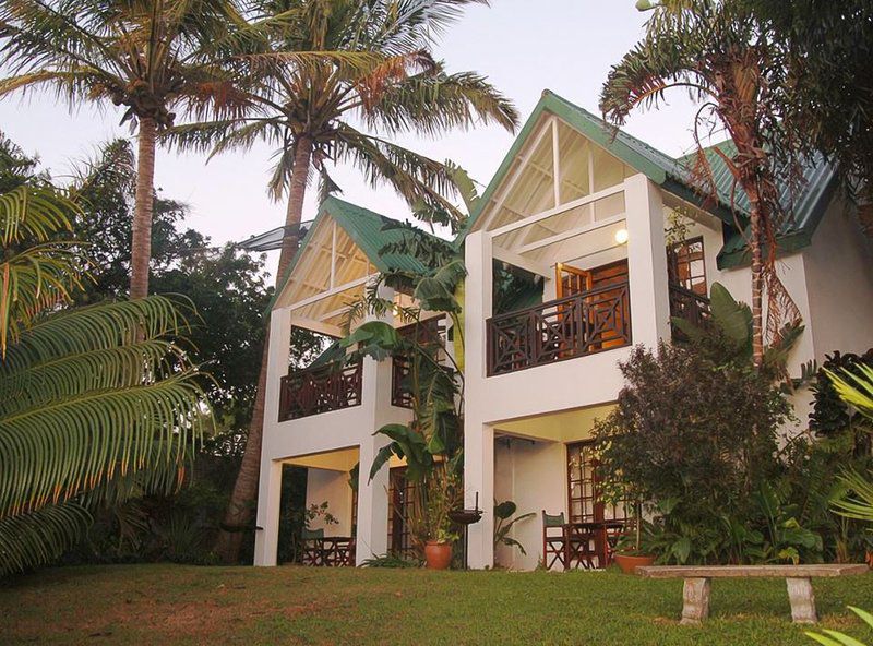 The St Lucia Eco Lodge St Lucia Kwazulu Natal South Africa 1 Building, Architecture, House, Palm Tree, Plant, Nature, Wood