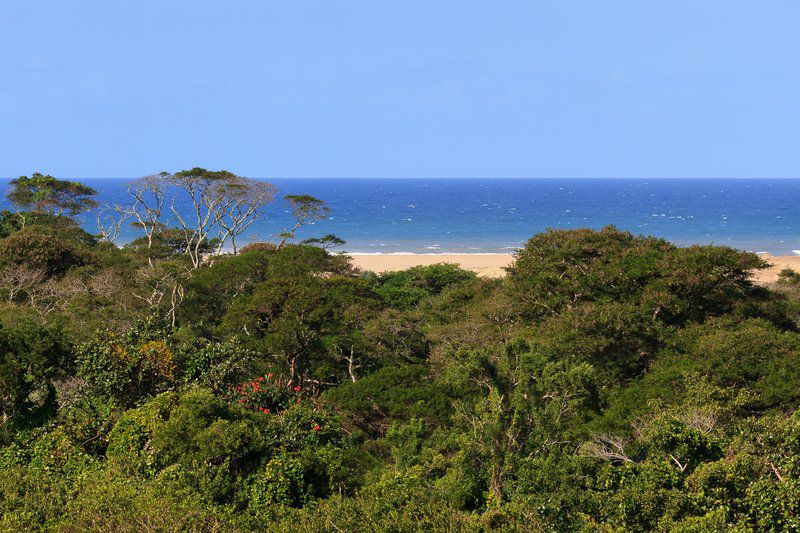 The St Lucia Eco Lodge St Lucia Kwazulu Natal South Africa 1 Complementary Colors, Colorful, Beach, Nature, Sand