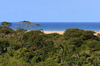 The St Lucia Eco Lodge St Lucia Kwazulu Natal South Africa 1 Complementary Colors, Colorful, Beach, Nature, Sand