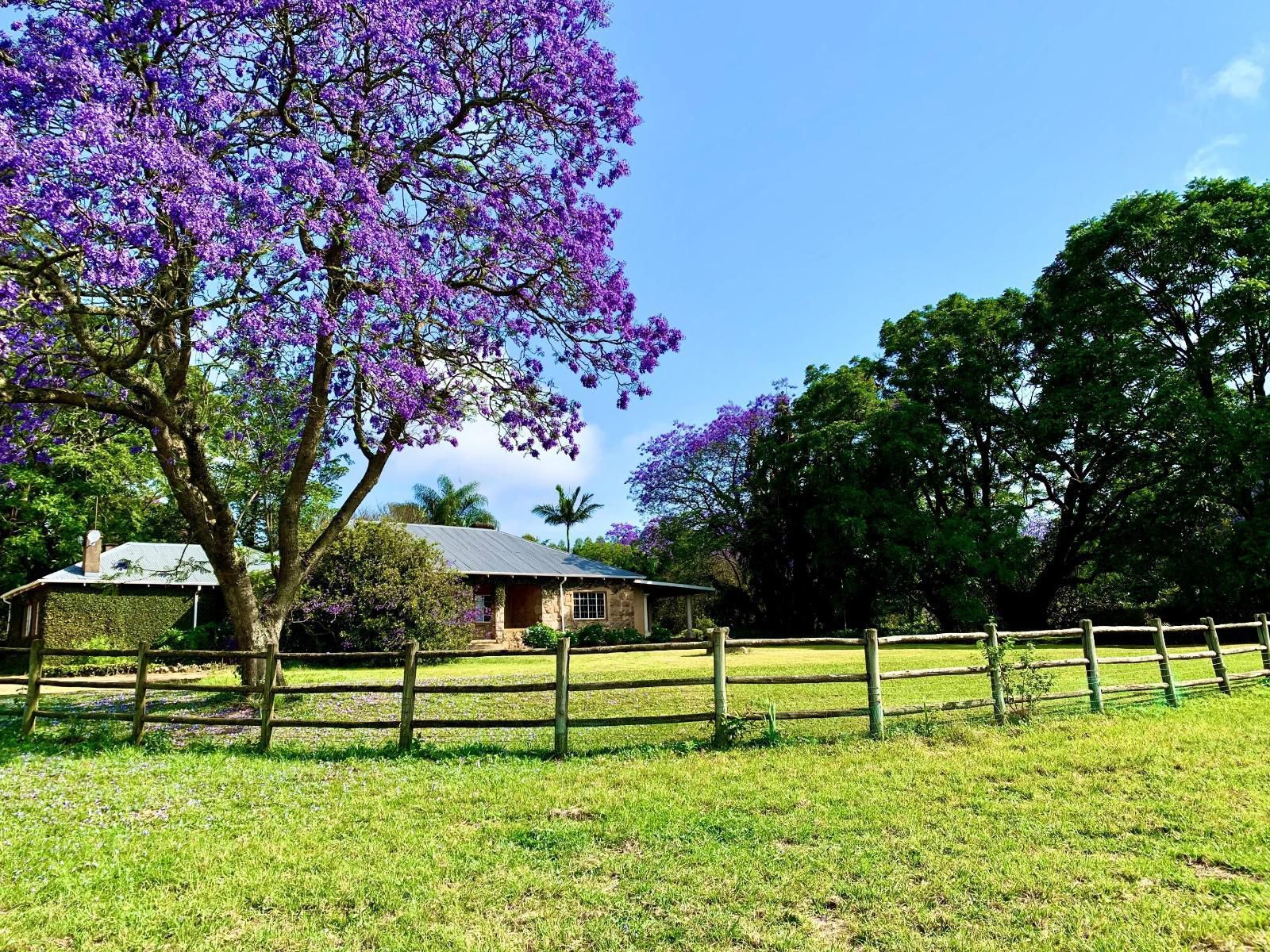 The Stone House White River Mpumalanga South Africa Complementary Colors, Plant, Nature